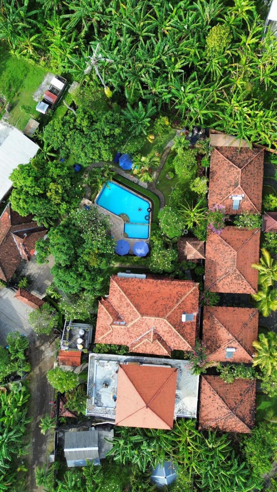 Balinda Rooms & Villa Lovina Exterior foto
